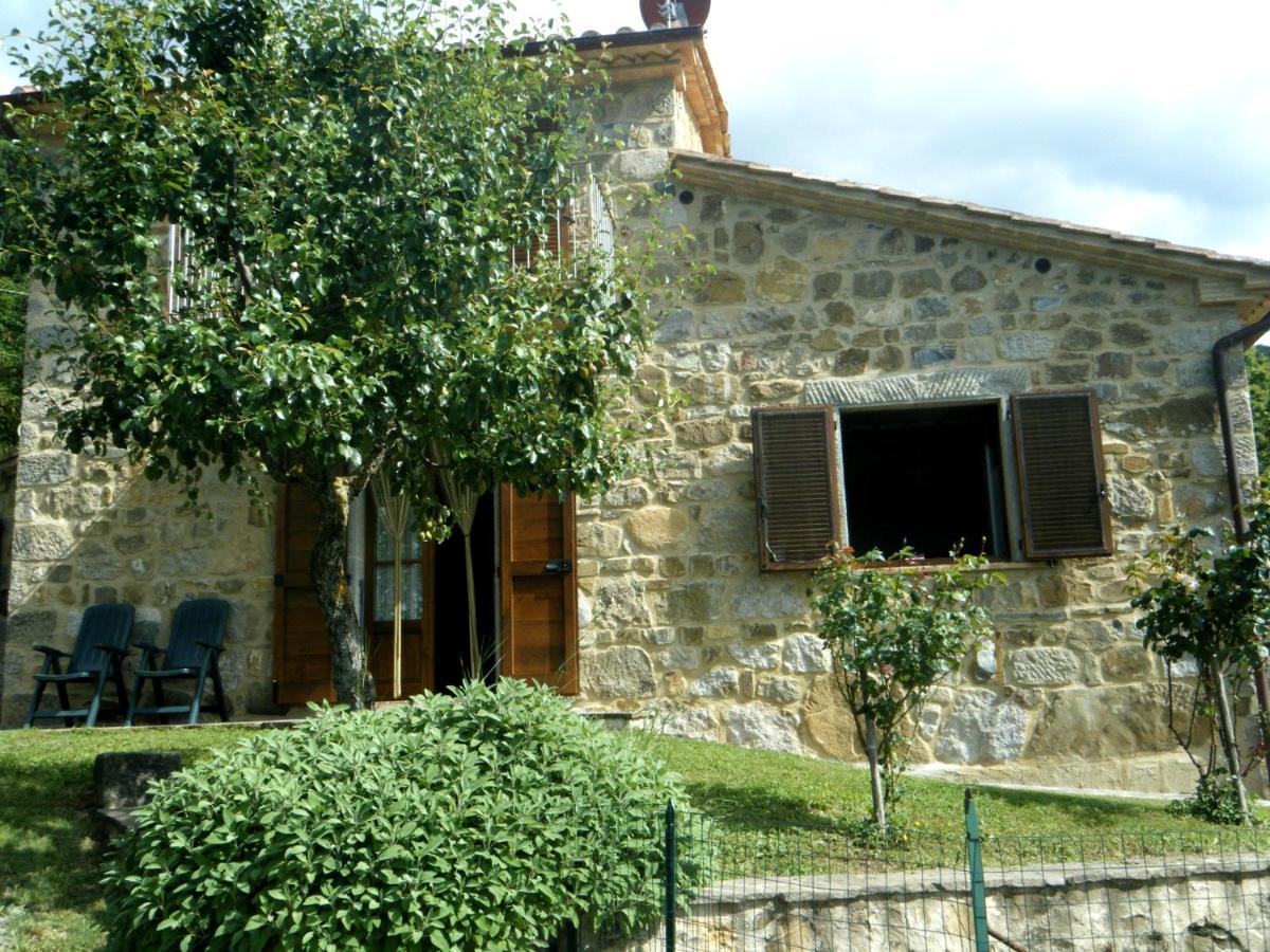 Agriturismo Ombianco Seggiano Exterior photo